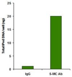 Epigentek Inc 5-Methylcytosine (5-mC) Monoclonal Antibody [33D3] (100 ug),