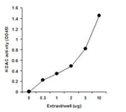 Epigentek Inc EpiQuik Nuclear Extraction Kit (100 assays), Quantity: Each