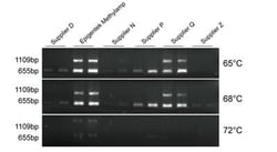 Epigentek Inc Methylamp DNA Modification Kit (40 reactions), Quantity: