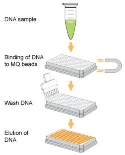 Epigentek Inc EpiNext DNA Purification HT System (4 ml), Quantity: Each