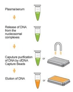 Epigentek Inc&nbsp;EpiQuik Circulating Cell-Free DNA (cfDNA) Isolation Easy Kit (25 isolations)