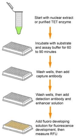 Epigentek Inc&nbsp;Epigenase 5mC-Hydroxylase TET Activity/Inhibition Assay Kit (Fluorometric) (96 assays)