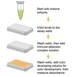 Epigentek Inc EpiQuik Histone H3 Citrullination ELISA Kit (Colorimetric)