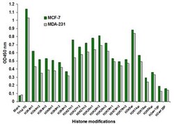 Epigentek Inc&nbsp;EpiQuik Histone H3 Modification Multiplex Assay Kit (Colorimetric) (96 assays)