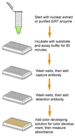 Epigentek Inc&nbsp;Epigenase Universal SIRT Activity/Inhibition Assay Kit (Colorimetric) (96 assays)
