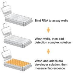 Epigentek Inc MethylFlash 5-mC RNA Methylation ELISA Easy Kit (Fluorometric)
