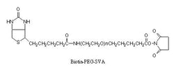 LAYSAN BIO INC Biotin-PEG-SVA, 100 mg, Quantity: Each of 1