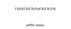 LAYSAN BIO INC mPEG-Amine, 1 g, Quantity: Each of 1