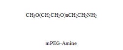 LAYSAN BIO INC mPEG-Amine, MW 5,000, 1 g, Quantity: Each of 1