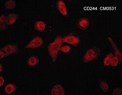 ECM Bioscience CD244/2B4/SLAMF4 (Extracellular region) M053 Mouse Monoclonal