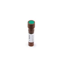 Agilent Technologies High Sensitivity RNA ScreenTape Sample Buffer., Quantity: