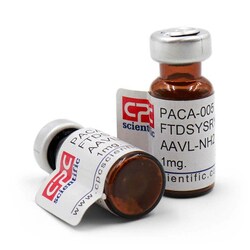 CPC Scientific H-Phe-Thr-Asp-Ser-Tyr-Ser-Arg-Tyr-Arg-Lys-Gln-Met-Ala-Val-Lys-Lys-Tyr-Leu-Ala-Ala-Val-Leu-NH2