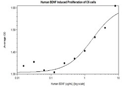 FUJIFILM IRVINE SCIENTIFIC INC Human BDNF, Recombinant Protein, Shenandoah