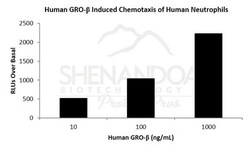 FUJIFILM IRVINE SCIENTIFIC INC Human GRO-beta (CXCL2) , Recombinant Protein,