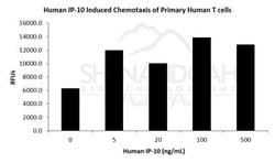 FUJIFILM BIOSCIENCES INC Human IP-10 (CXCL10) , Recombinant Protein, Shenandoah