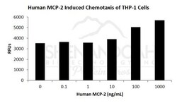 FUJIFILM BIOSCIENCES INC Human MCP-2 (CCL8), Recombinant Protein, Shenandoah