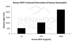 FUJIFILM BIOSCIENCES INC Human MCP-3 (CCL7), Recombinant Protein, Shenandoah