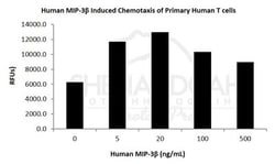 FUJIFILM BIOSCIENCES INC Human MIP-3b (CCL19), Recombinant Protein, Shenandoah