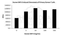 FUJIFILM BIOSCIENCES INC Human MIP-4 (CCL18), Recombinant Protein, Shenandoah