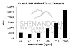 FUJIFILM IRVINE SCIENTIFIC INC Human RANTES (CCL5), Recombinant Protein,