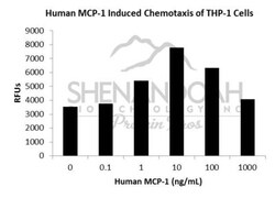 FUJIFILM IRVINE SCIENTIFIC INC Human MCP-1 (CCL2), Recombinant Protein,