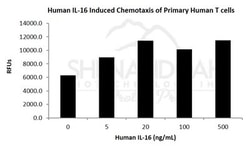 FUJIFILM BIOSCIENCES INC Human IL-16, Recombinant Protein, Shenandoah Biotechnology,