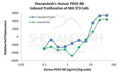 FUJIFILM BIOSCIENCES INC ACF Human PDGF-BB, Recombinant Protein, Shenandoah