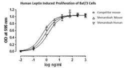 FUJIFILM BIOSCIENCES INC Human Leptin, Recombinant Protein, Shenandoah