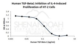 FUJIFILM IRVINE SCIENTIFIC INC Human TGF-Beta 1, Recombinant Protein, Shenandoah