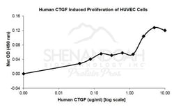 FUJIFILM BIOSCIENCES INC Human CTGF, Recombinant Protein, Shenandoah Biotechnology,