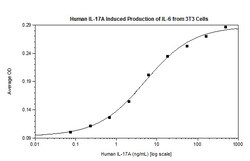 FUJIFILM BIOSCIENCES INC Human IL-17A (CTLA-8) , Recombinant Protein, Shenandoah