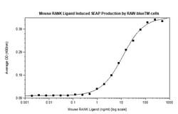 FUJIFILM BIOSCIENCES INC Mouse RANK-Ligand , Recombinant Protein, Shenandoah