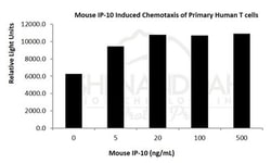FUJIFILM BIOSCIENCES INC Mouse IP-10 (CXCL10), Recombinant Protein, Shenandoah