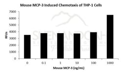 FUJIFILM BIOSCIENCES INC Mouse MCP-3 (CCL7), Recombinant Protein, Shenandoah