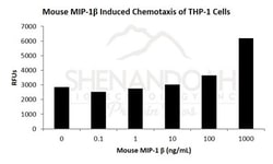 FUJIFILM BIOSCIENCES INC&nbsp;Mouse MIP-1 beta (CCL4), Recombinant Protein, Shenandoah Biotechnology, 100 ug vial