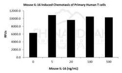 FUJIFILM BIOSCIENCES INC Mouse IL-16, Recombinant Protein, Shenandoah Biotechnology,