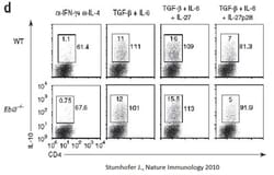 FUJIFILM BIOSCIENCES INC Mouse p28 subunit (IL-27/p28), Recombinant Protein,