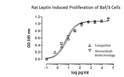 FUJIFILM BIOSCIENCES INC Rat Leptin, Recombinant Protein, Shenandoah Biotechnology,
