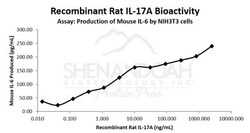 FUJIFILM BIOSCIENCES INC Rat IL-17A (CTLA-8), Recombinant Protein, Shenandoah