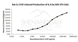 FUJIFILM BIOSCIENCES INC Rat IL-17A (CTLA-8), Recombinant Protein, Shenandoah