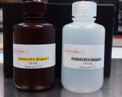 Detroit R & D CHEMILUMINESCENT REAGENT KIT 1