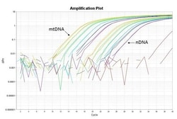 Detroit R MITOCHONDRIAL DNA COPY, Quantity: Each of 1