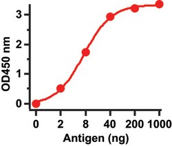 ProSci LLC SARS-CoV Spike Antibody, Rabbit Polyclonal, Quantity: Each of