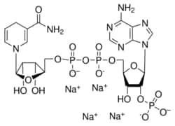 Supply Solutions NADPH, approx. 98%, 2646-71-1, 100 mg, Quantity: Each