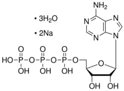 Supply Solutions Adenosine 5-triphosphate disodium salt trihydrate, 51963-61-2,