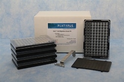 Platypus Technologies LLC Platypus Technologies Cell Migration Assay, 96-Well Plate With Inserted Stoppers, Tissue-Culture Treated, 5 Kits