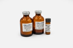 Advanced Biomatrix PhotoGel 50% DOM Methacrylated Gelatin with LAP Kit,