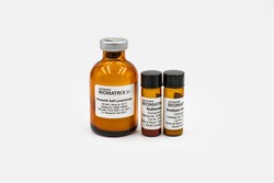 Advanced Biomatrix PhotoHA-Soft Methacrylated Hyaluronic Acid (GM-HA) with