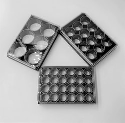 Advanced Biomatrix 12-well plate glass bottom special treated adherent