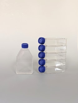 Advanced Biomatrix&nbsp;CytoSoft, T-75 Flasks, 64 kPa